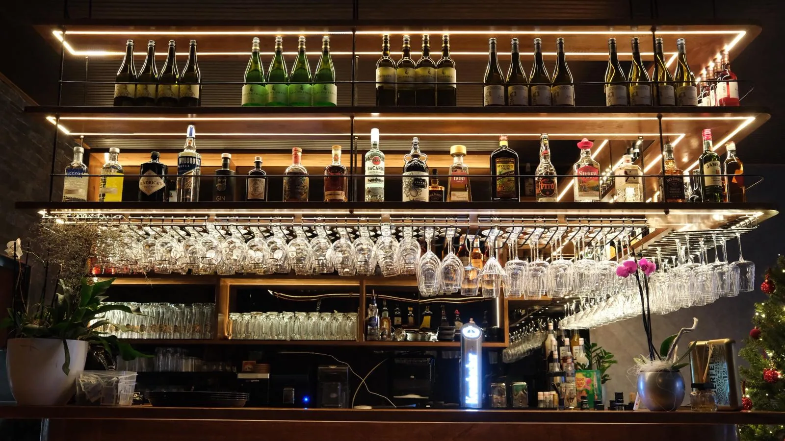 Spirituosen-Regal der Bloom Bar in warmem Licht